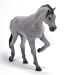 Gray Horse, Maquette